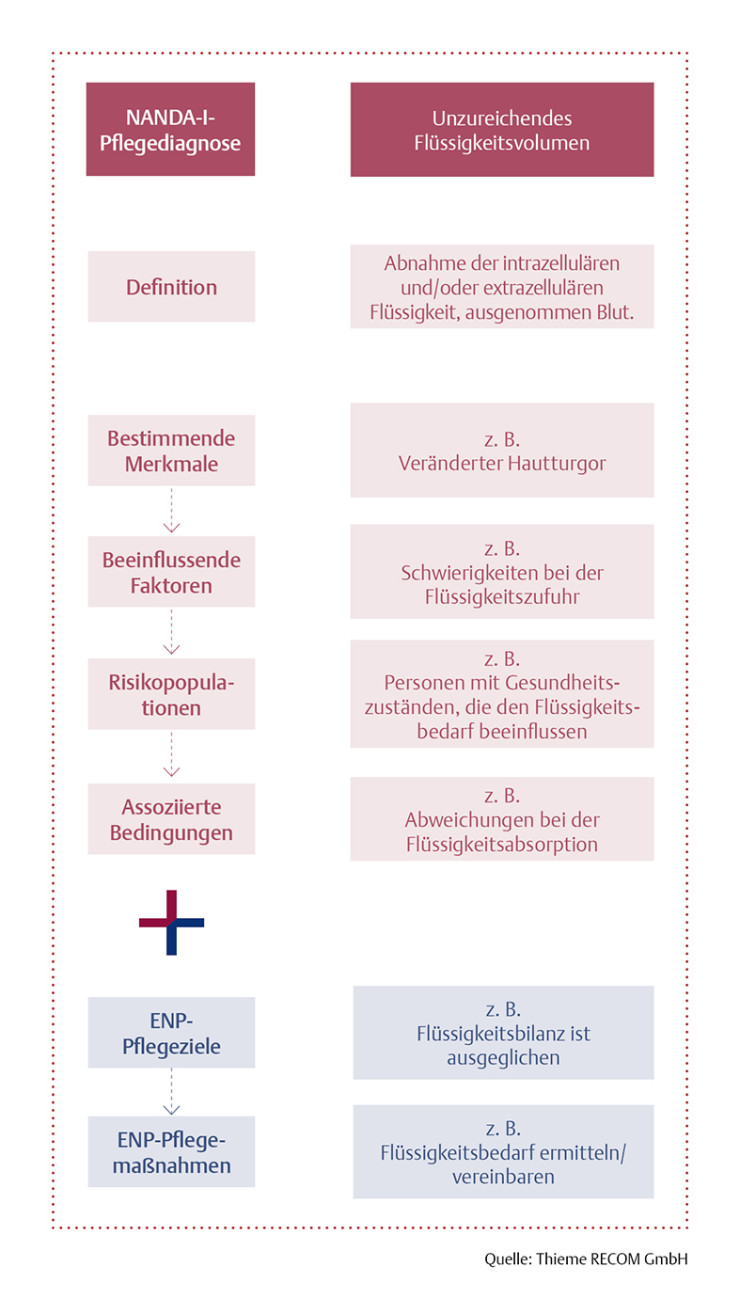 Aufbau von NANDA-I PLUS