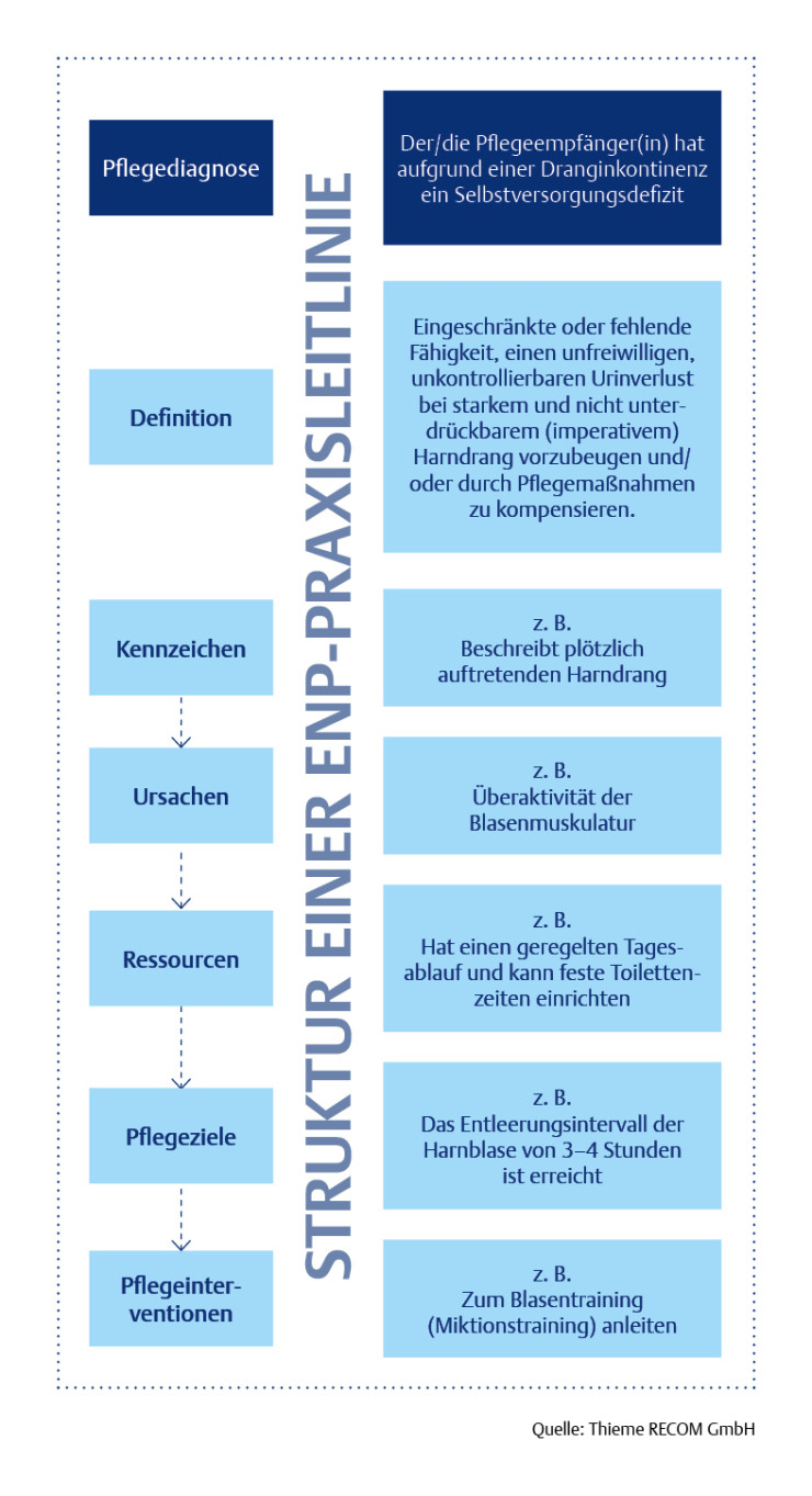 Ansicht ENP-Praxisleitlinie